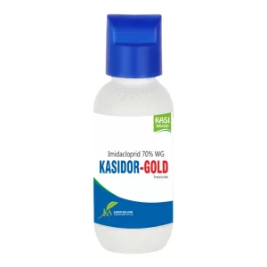 Kasidor Gold