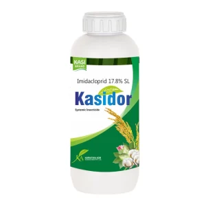 Kasidor