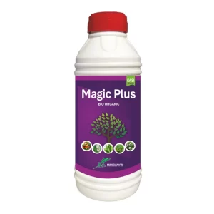 Magic Plus