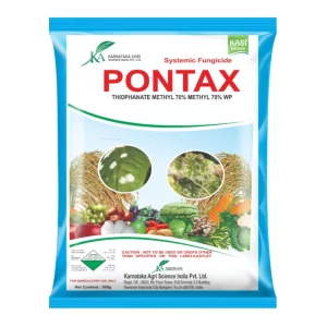 Pontax